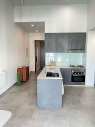 Loft @ Rangoon (D8), Apartment #520703511